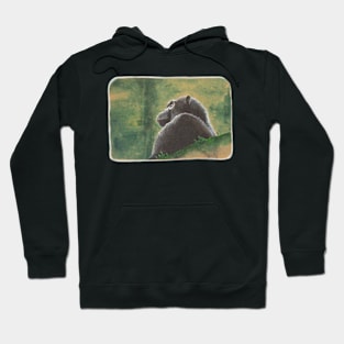 Chimpanzee Hoodie